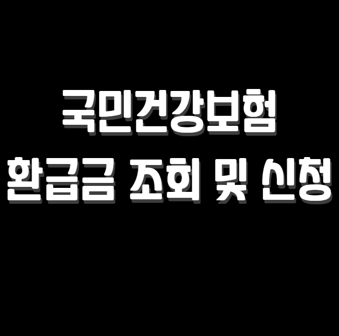 국민건강보험-환급금